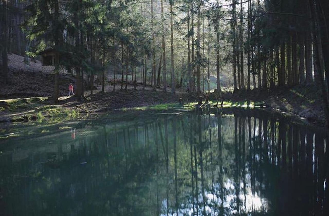 Ferienhaus "Gestiefelter Kater" Am See Im Bergland كيرشهيم المظهر الخارجي الصورة